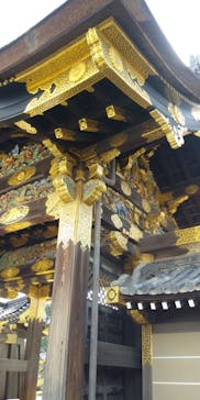 元離宮二条城に投稿された画像（2022/3/10）