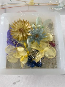 ずこうしつ〜sugamo〜に投稿された画像（2022/3/10）