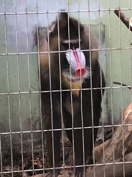 沖縄こどもの国に投稿された画像（2022/3/10）