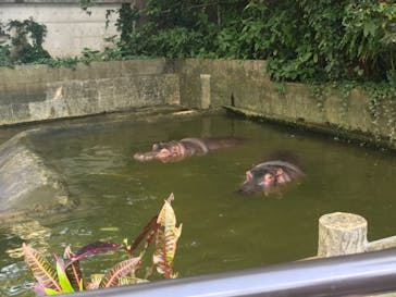 沖縄こどもの国に投稿された画像（2022/3/10）