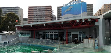 しながわ水族館に投稿された画像（2022/3/10）