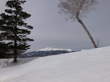 野麦峠スキー場に投稿された画像（2022/3/10）
