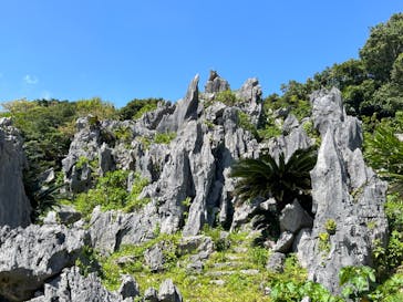 アスムイハイクスに投稿された画像（2022/3/10）