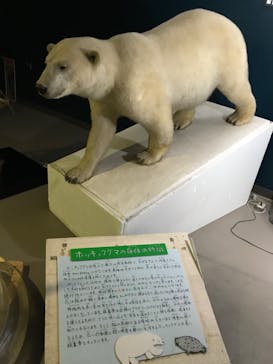 旭川市旭山動物園に投稿された画像（2022/3/10）