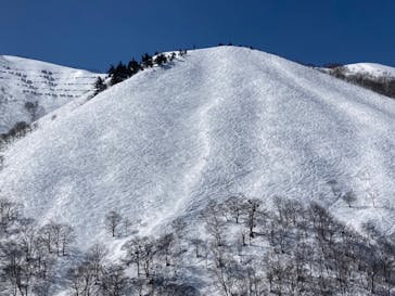 白馬八方尾根スキー場に投稿された画像（2022/3/10）
