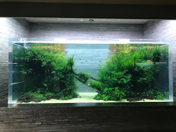 すみだ水族館に投稿された画像（2022/3/10）