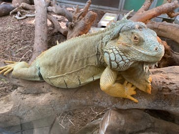 沖縄こどもの国に投稿された画像（2022/3/10）