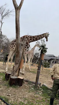 天王寺動物園に投稿された画像（2022/3/10）