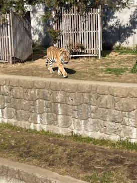 天王寺動物園に投稿された画像（2022/3/10）
