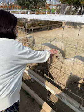 神戸どうぶつ王国に投稿された画像（2022/3/10）