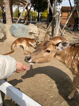 神戸どうぶつ王国に投稿された画像（2022/3/10）
