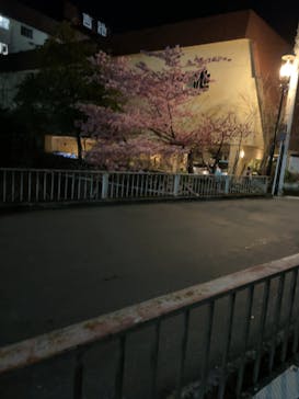 箱根湯本温泉 天成園に投稿された画像（2022/3/11）