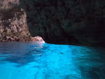 武藤潜水に投稿された画像（2022/3/11）