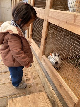 まかいの牧場に投稿された画像（2022/3/11）