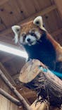 伊豆シャボテン動物公園に投稿された画像（2022/3/11）