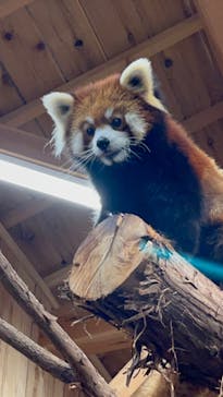 伊豆シャボテン動物公園に投稿された画像（2022/3/11）