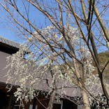 箱根湯寮に投稿された画像（2022/3/11）