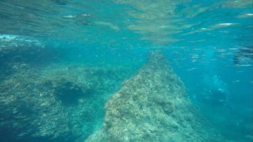 DIVING-SHOP SUNSに投稿された画像（2022/3/11）