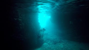 DIVING-SHOP SUNSに投稿された画像（2022/3/11）