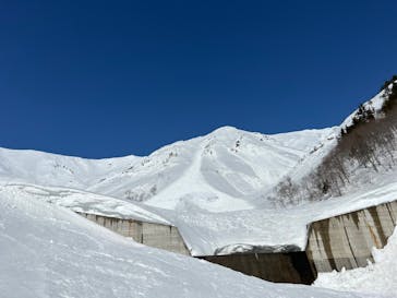 白馬八方尾根スキー場に投稿された画像（2022/3/11）