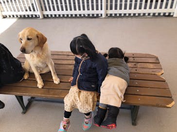 那須どうぶつ王国に投稿された画像（2022/3/11）