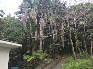 ネオパークオキナワに投稿された画像（2022/3/11）