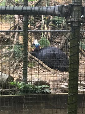 ネオパークオキナワに投稿された画像（2022/3/11）