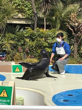 サンシャイン水族館に投稿された画像（2022/3/10）