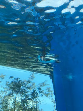 サンシャイン水族館に投稿された画像（2022/3/10）