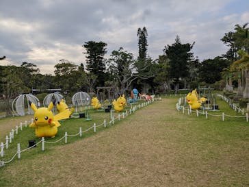 美らヤシパークオキナワ・東南植物楽園に投稿された画像（2022/3/11）