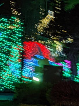 美らヤシパークオキナワ・東南植物楽園に投稿された画像（2022/3/11）