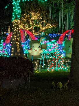 美らヤシパークオキナワ・東南植物楽園に投稿された画像（2022/3/11）