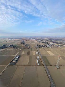 ウイニングバルーンクラブに投稿された画像（2022/3/11）