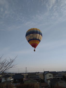 ウイニングバルーンクラブに投稿された画像（2022/3/11）