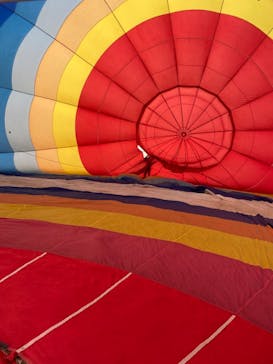 ウイニングバルーンクラブに投稿された画像（2022/3/11）