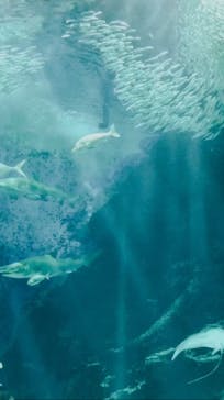 マリンワールド海の中道に投稿された画像（2022/3/11）