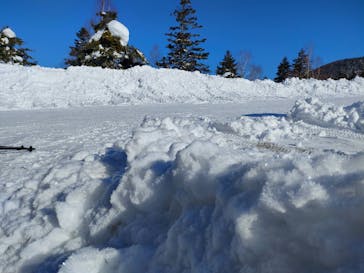 熊の湯スキー場に投稿された画像（2022/3/11）