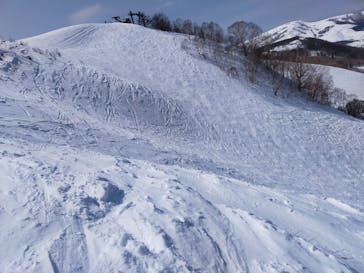 しらかば2in1スキー場に投稿された画像（2022/3/11）