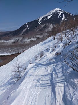 しらかば2in1スキー場に投稿された画像（2022/3/11）