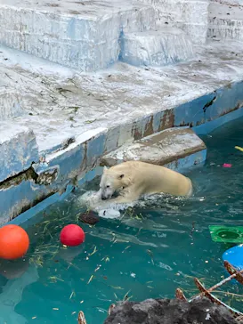 天王寺動物園に投稿された画像（2022/3/11）