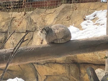 那須どうぶつ王国に投稿された画像（2022/3/11）