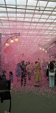 西武園ゆうえんちに投稿された画像（2022/3/11）