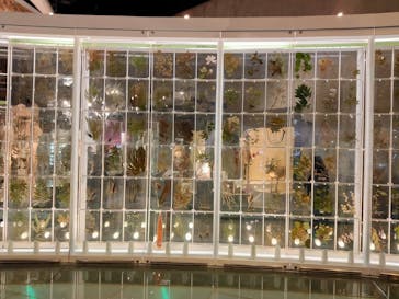 国立科学博物館に投稿された画像（2022/3/11）