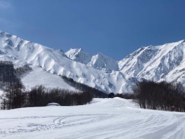 白馬八方尾根スキー場に投稿された画像（2022/3/11）