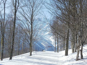 白馬岩岳スノーフィールドに投稿された画像（2022/3/11）