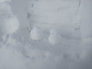 白馬岩岳スノーフィールドに投稿された画像（2022/3/11）