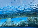 サンシャイン水族館に投稿された画像（2022/3/12）