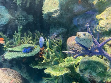 サンシャイン水族館に投稿された画像（2022/3/11）