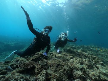 DIVING-SHOP SUNSに投稿された画像（2022/3/12）