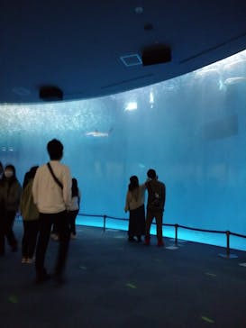 名古屋港水族館に投稿された画像（2022/3/12）